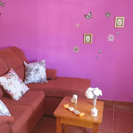 Pequeno Estudio Διαμέρισμα Granadilla De Abona Εξωτερικό φωτογραφία